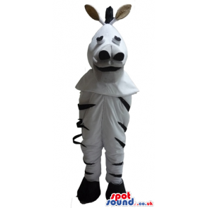 Black and white zebra - your mascot in a box! - Custom Mascots