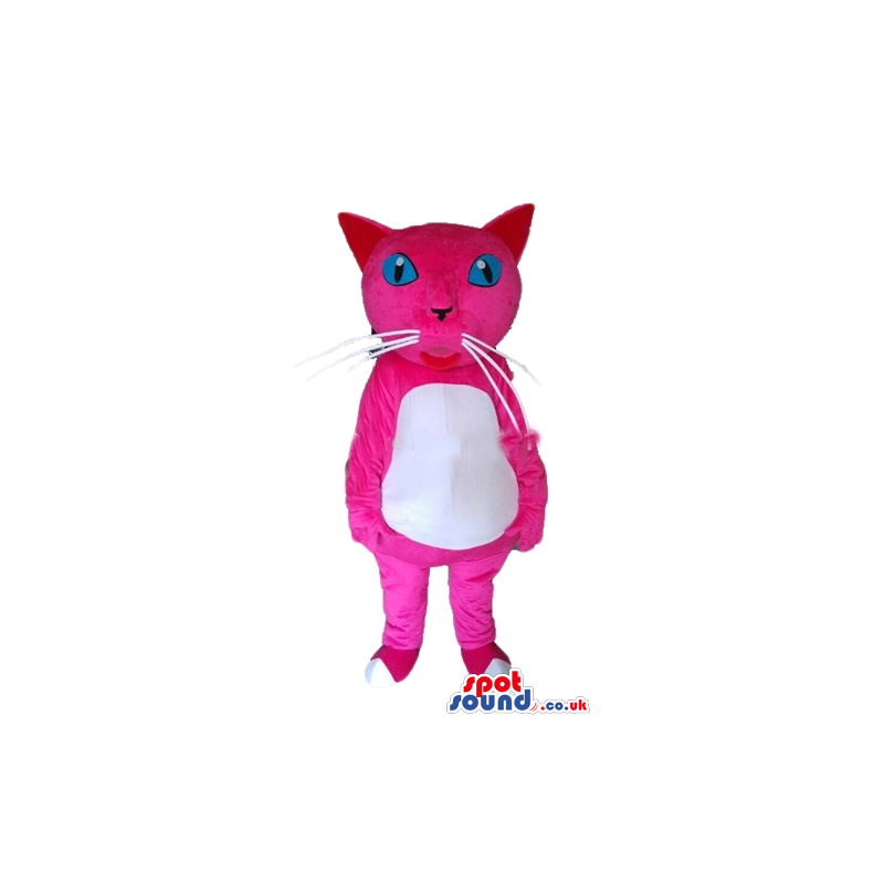 Pink cat with light-blue eyes and a white belly - Custom Mascots