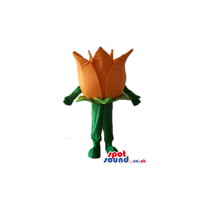 Orange tulip with green leaves and green stem - Custom Mascots