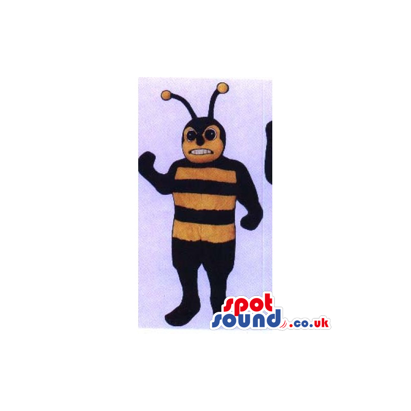 Bee Insect Mascot With Angry Face And Long Antennae - Custom