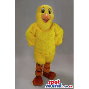 Funny All Yellow Chicken Plush Mascot With Round Head - Custom