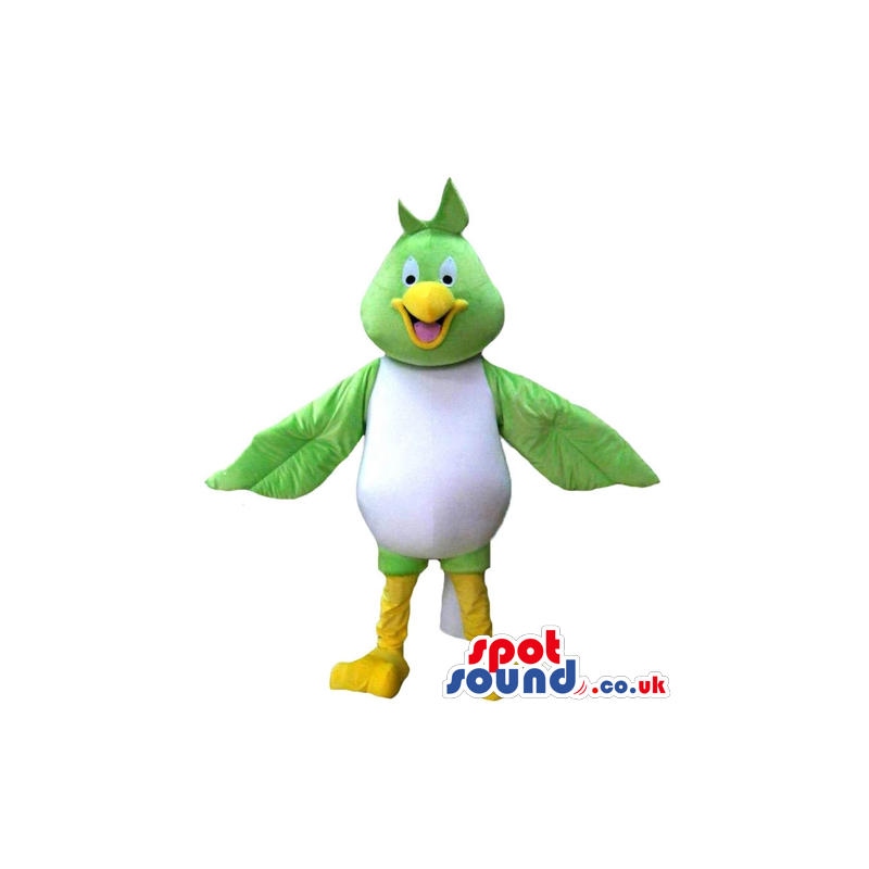 Happy green bird with big eyes, yellow beak, white belly and