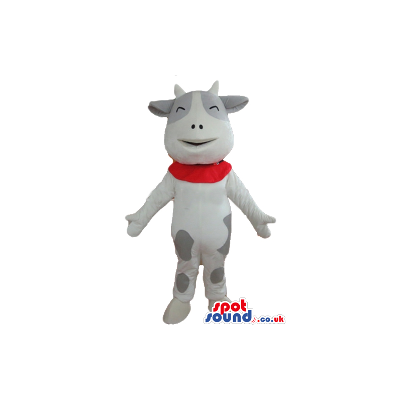 Smiling white and grey cow with red foulard round the neck -