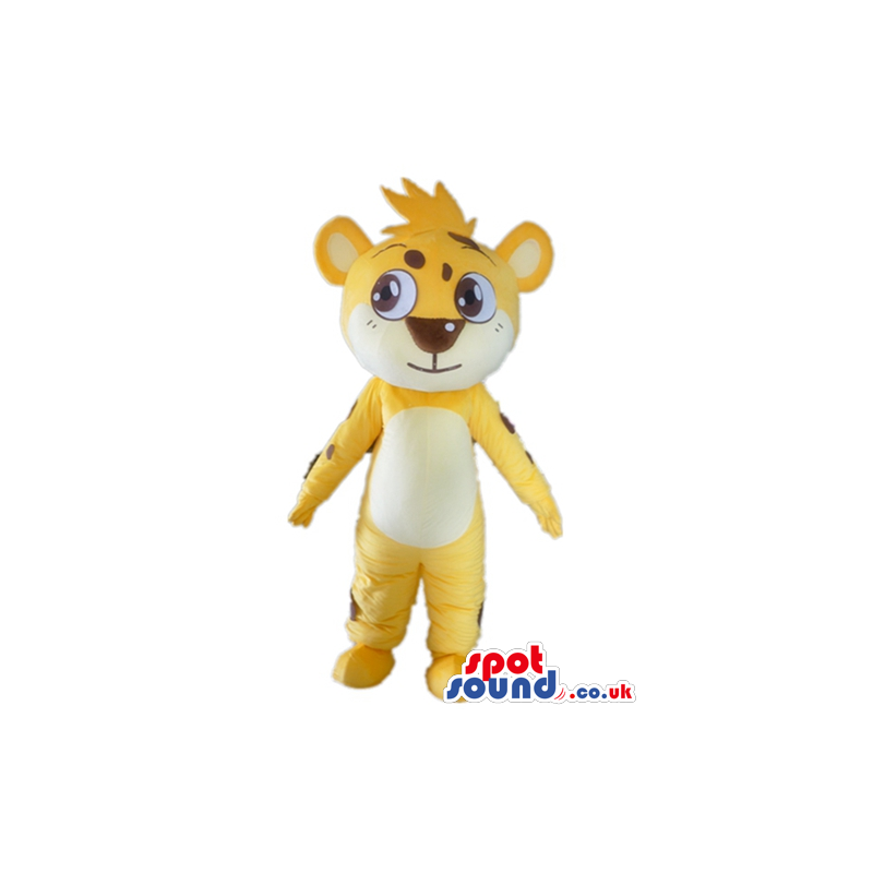 Yellow cheetah with big eyes, white belly and yellow hair -