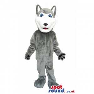 SPOTSOUND UK Mascot of the day : Grey Wolf Animal Plush Mascot With Closed Mouth And Blue Eyes. Discover our #spotsound #uk #mascots and all other Mascots Wolfon our webiste : https://bit.ly/3sKy4o1534. #mascot #costume #party #marketing #events #mascots https://www.spotsound.co.uk/mascots-wolf/3900-grey-wolf-animal-plush-mascot-with-closed-mouth-and-blue-eyes.html